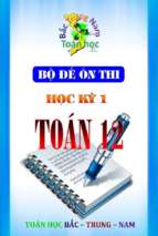 Bộ đề ôn thi học kì 1 môn toán lớp 12