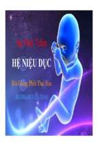 Sự phát triển hệ niệu dục