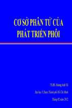 cơ sở phân tử của phôi