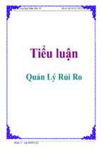 Công nghệ phần mềm   quản lý rủi ro