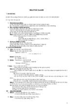 Relative clause edited
