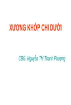 Bài giảng Xương khớp chi dưới - Nguyễn Thị Thanh Phương