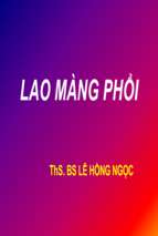 Bài giảng Lao màng phổi - ThS. BS. Lê Hồng Ngọc