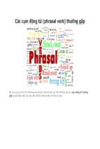 Các cụm động từ (phrasal verb) thường gặp