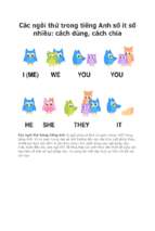 Các ngôi thứ trong tiếng anh số ít số nhiều cách dùng, cách chia