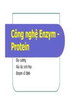 Công nghệ enzym protein dược 2013