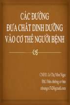 Bài giảng Các đường đưa chất dinh dưỡng vào cơ thể người bệnh - Lê Thị Như Ngọc