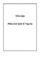Tiểu luận phân tích kinh tế nigeria