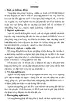  giải pháp cấu tạo để cải thiện độ êm thuận cho đoạn đường dẫn vào cầu khu vực thành phố Hồ Chí Minh và đồng bằng sông Cửu Long