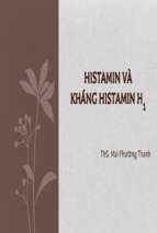 Thuốc kháng histamin h1   ths mai phương thanh