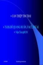 Ts huan   can thiep tim thai