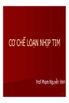 Thay vinh   co che loan nhip tim [compatibility mode]
