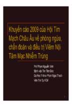 Thay vinh   khuyen cao ve phong ngua, chan doan va dieu tri vntmnt (2009) [compatibility mode]