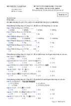 Trungct_dh_k13_ 197