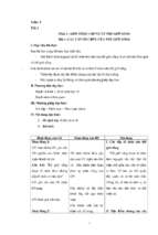 Giáo án sinh học lớp lớp 10 cơ bản