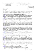 Hoabct_dh_k13_ 537