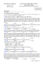 Hoaact_dh_k13_463_
