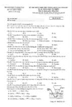 Hoa_ma de thi 211_gmmq