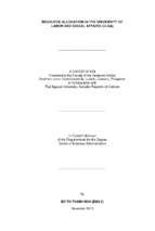 Resource allocation in the university of labor and social affairs (ulsa)