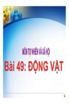 Dong vat