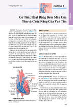 Cơ tim; hoạt động bơm máu của tim và chức năng của van tim