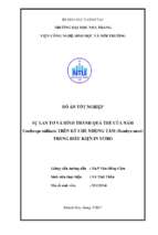 Sự lan tơ và hình thành quả thể của nấm cordyceps militaris trên ký chủ nhộng tằm (bombyx mori) trong điều kiện in vitro