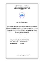 Tìm hiểu tính tương đồng kháng nguyên của các chủng liên cầu khuẩn phân lập từ cá bớp (rachycentron canadum) bị bệnh mù mắt nuôi tại khánh hòa