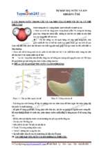 Su hap thu nuoc va ion khoang o re cua thuc vat (1) 1