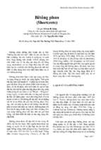 Bê tông phun shortcrete