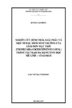 Nghiên cứu hình thái, giải phẫu và một số đặc điểm sinh trưởng của loài đơn mặt trời (excoecaria cochichinensis lour.) trồng tại trạm đa dạng sinh học mê linh   vĩnh phúc