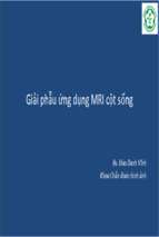 MRI Giải phẫu cột sống