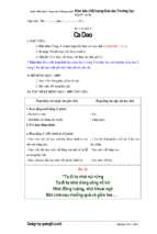 Giáo án buổi chiều theo vnen  rèn viết chính tả lớp 2