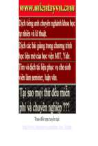 Vixuly8088_viet_viet_ok