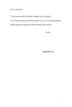 Luận văn   nguyễn huy lợi