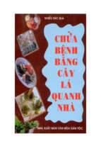 Chữa bệnh bằng cây lá quanh nhà