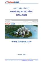 Ho so nang luc co dien lanh sao vang sava me