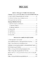 Biendao vn to quoc noi dau song