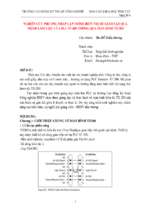 Nghiên cứu phương pháp lập trình hiển thị để giám sát    đỗ triều dương