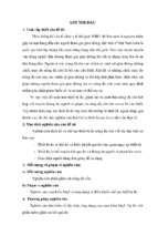 Pdtk 15958   nguyễn ngọc huy   dtd52dh1 42169