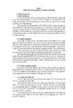 Baocaohoinghi29 2009