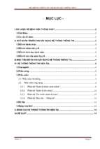 HỆ THỐNG THÔNG TIN TẠI BỆNH VIỆN THỐNG NHẤT