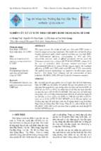 Trongtruong_so29a_04