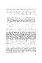 Sử dụng phương pháp máng đơn (troughing) để tinh sạch dna metagenome hệ vi sinh vật cộng sinh trong ruột mối