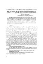 Hiệu lực phòng trừ sâu khoang (spodoptera litura fabr.) của nấm isaria javanica (frider. & bally) samsom & hywel jones