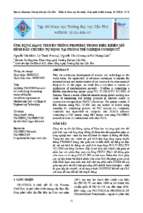 Trongtruong_so26a_11