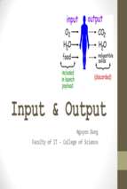 Bài giảng Tin học đại cương A (dành cho khối tự nhiên):Input and Output