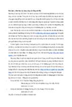 Học luật y khoa hay xây dựng cũng cần tiếng anh đấy