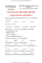 Giai chi tiet 30 de toan chuyen