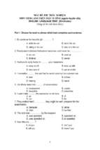 Mẫu đề tiếng anh (chuyên viên)