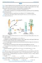 [công phá sinh] đề minh họa thpt quốc gia môn sinh số 1